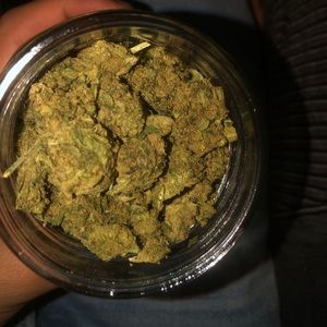 Meet your Posher, George